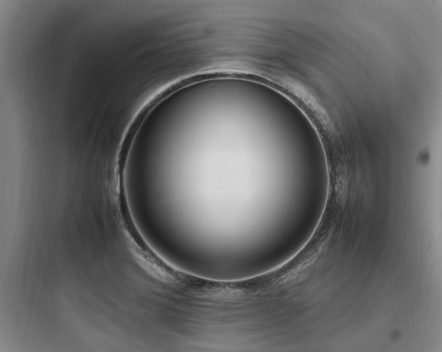 X0000097981372200803241249