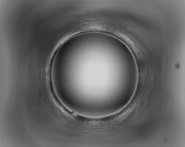 X0000097981373200803241249