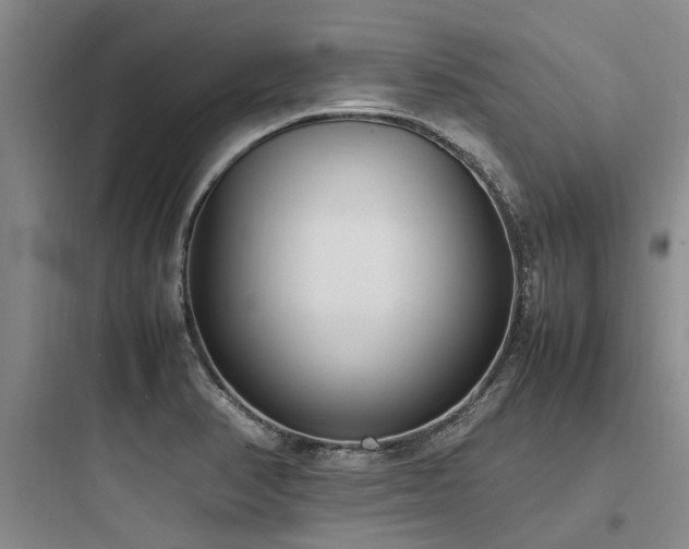 X0000097981374200803241249