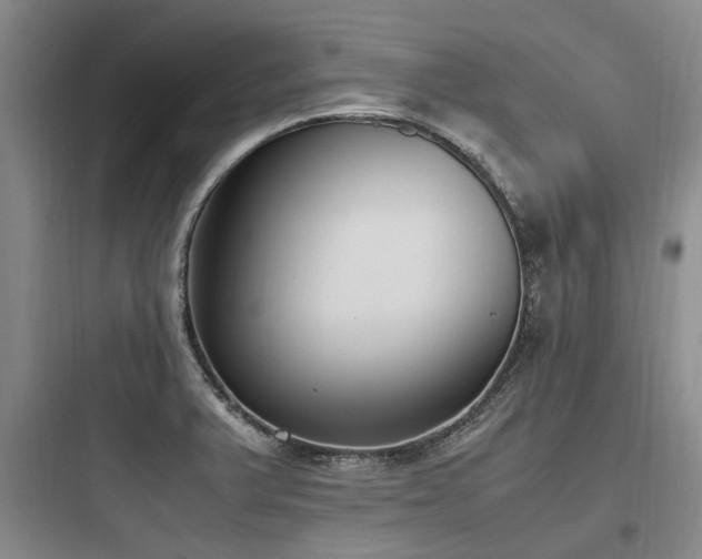 X0000097981375200803241249