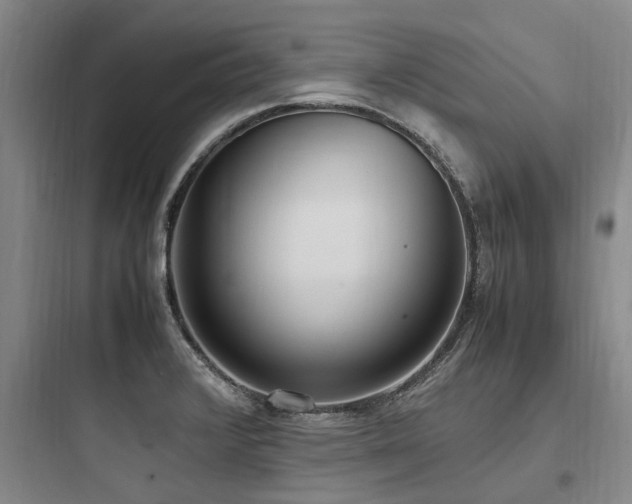 X0000097981376200803241249
