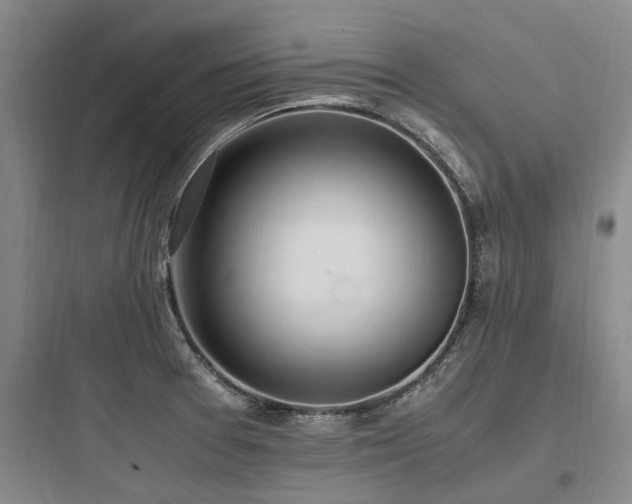 X0000097981377200803241249
