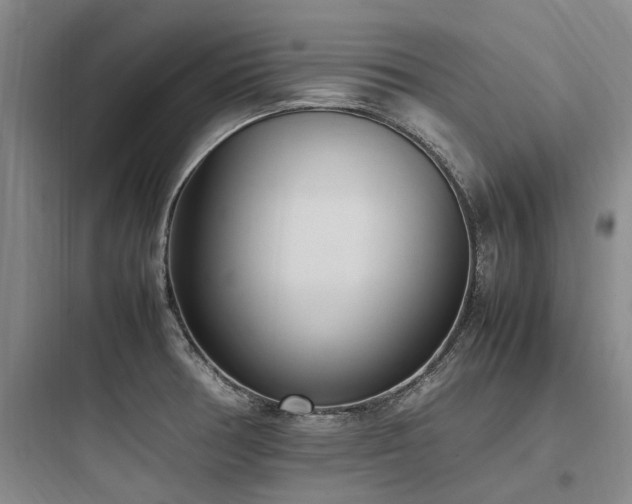 X0000097981378200803241249