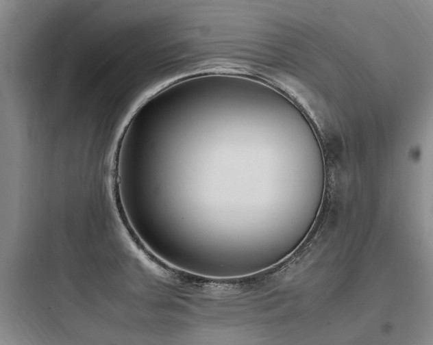 X0000097981379200803241249