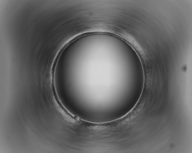 X0000097981380200803241249