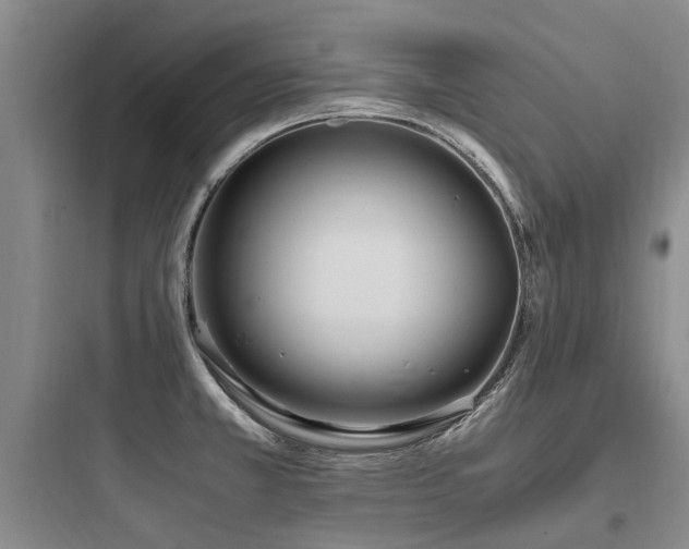X0000097981381200803241249