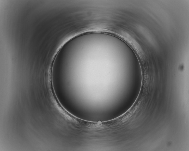 X0000097981382200803241249