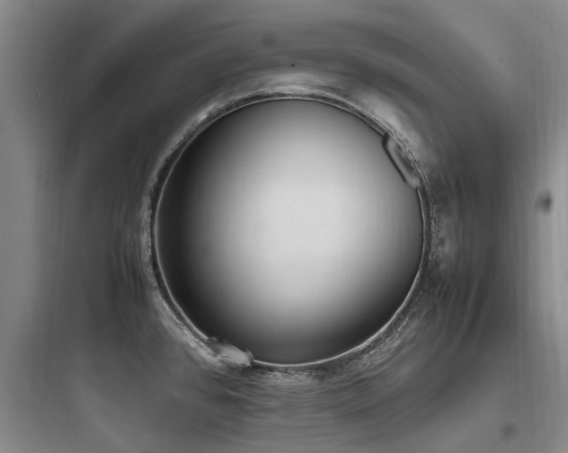 X0000097981384200803241249