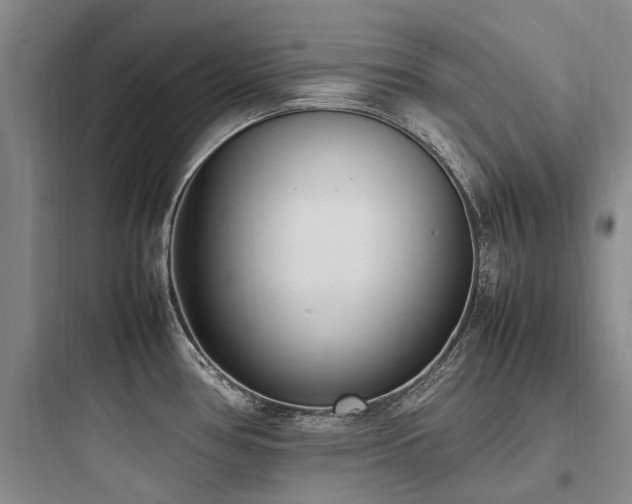 X0000097981386200803241249