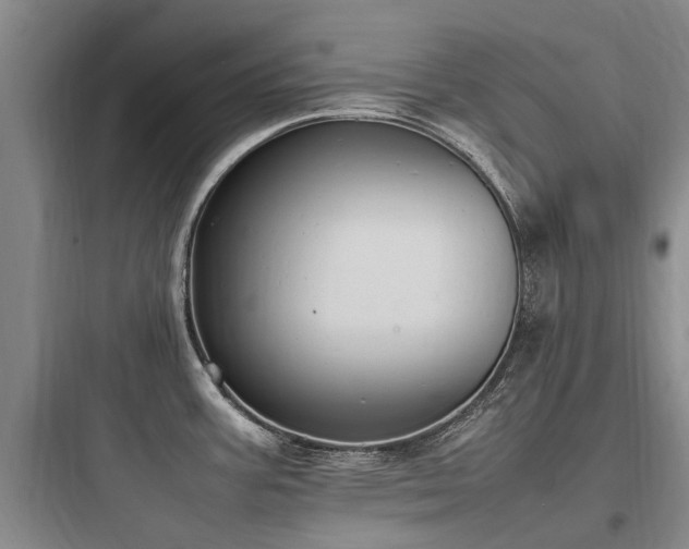 X0000097981387200803241249