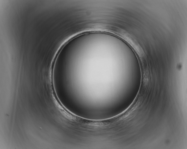 X0000097981388200803241249