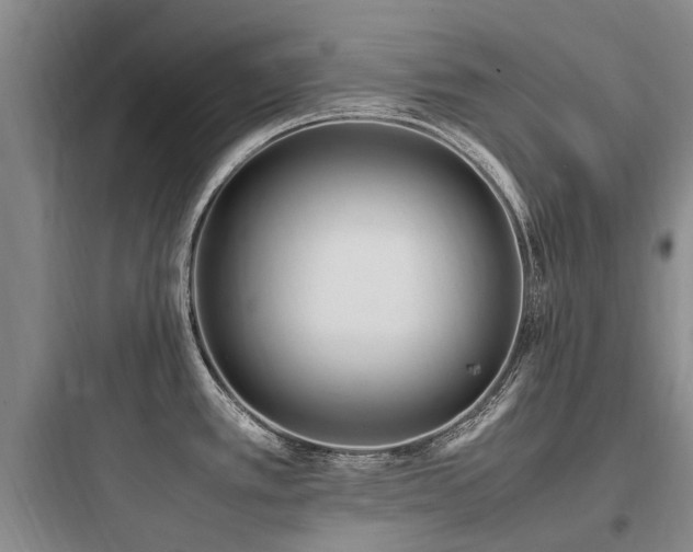 X0000097981389200803241249