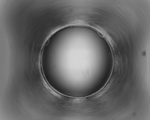 X0000097981390200803241249
