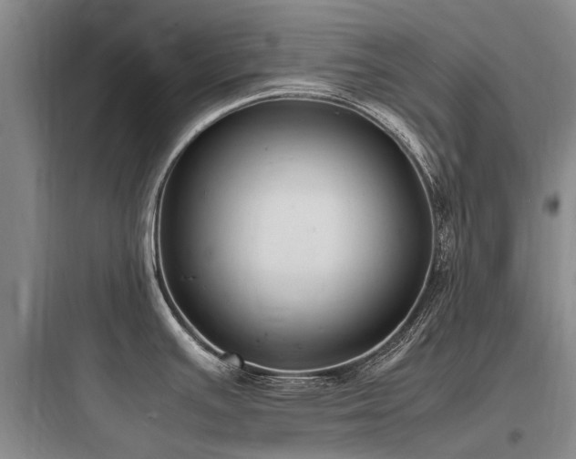 X0000097981391200803241249