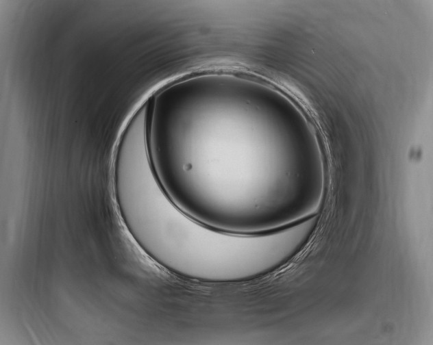 X0000097981392200803241249