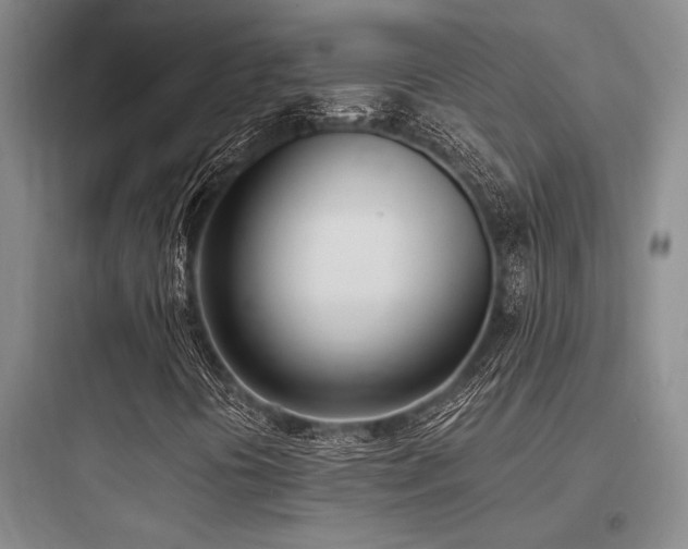 X0000097981394200803241248