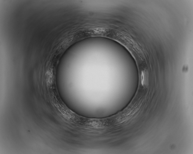 X0000097981395200803241248