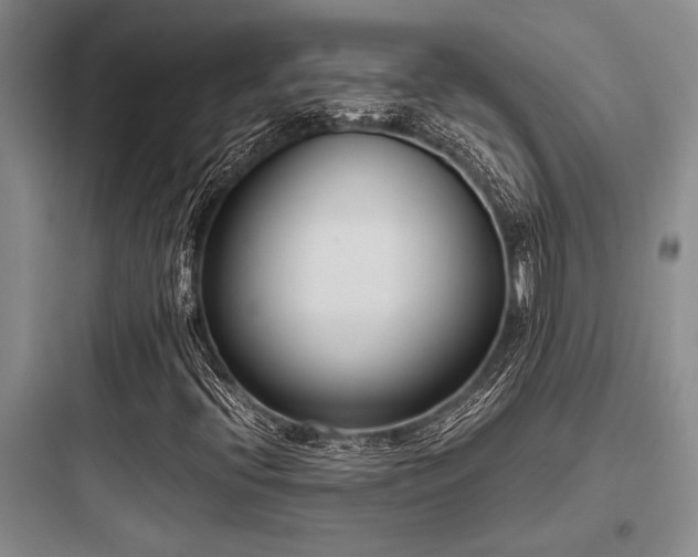 X0000097981396200803241248