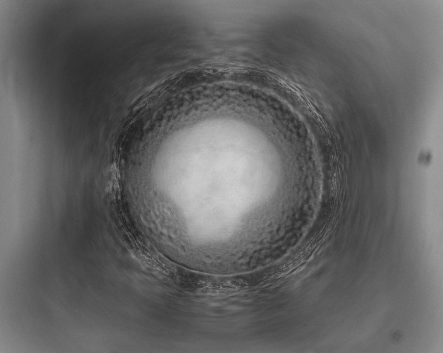 X0000097981397200803241248