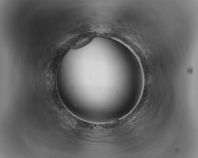 X0000097981398200803241248