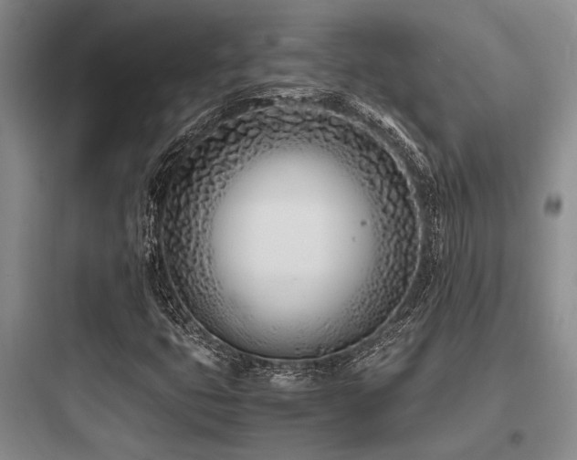 X0000097981399200803241248