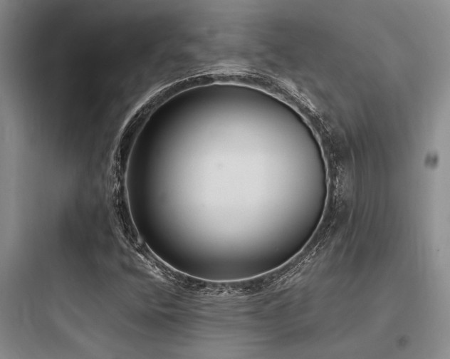 X0000097981400200803241248