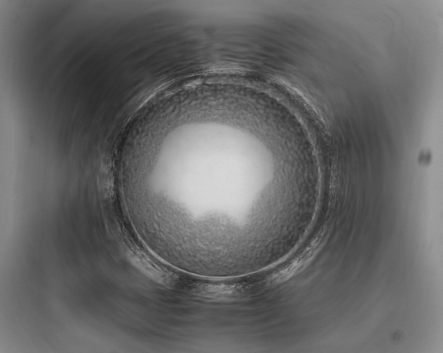 X0000097981401200803241248
