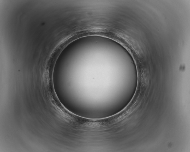 X0000097981402200803241248