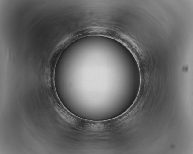 X0000097981403200803241248
