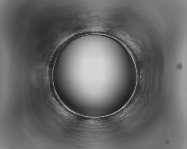 X0000097981404200803241248