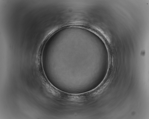 X0000097981405200803241248