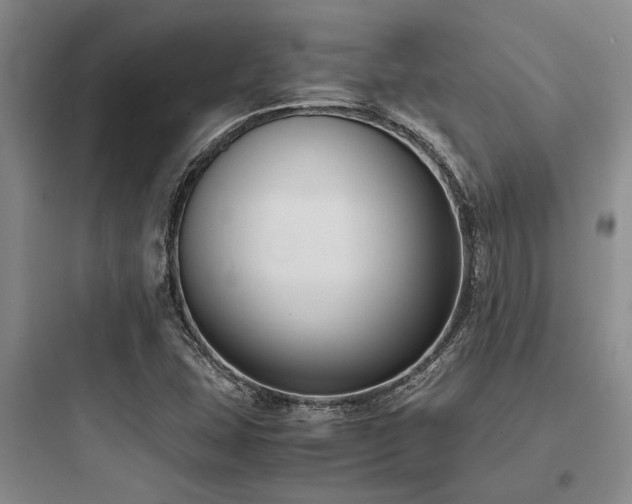 X0000097981407200803241248