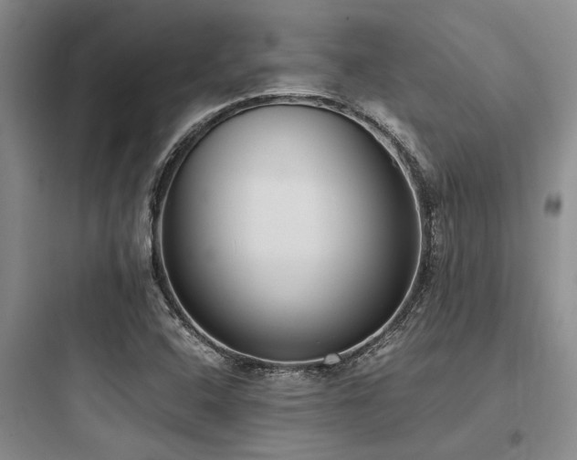 X0000097981408200803241248