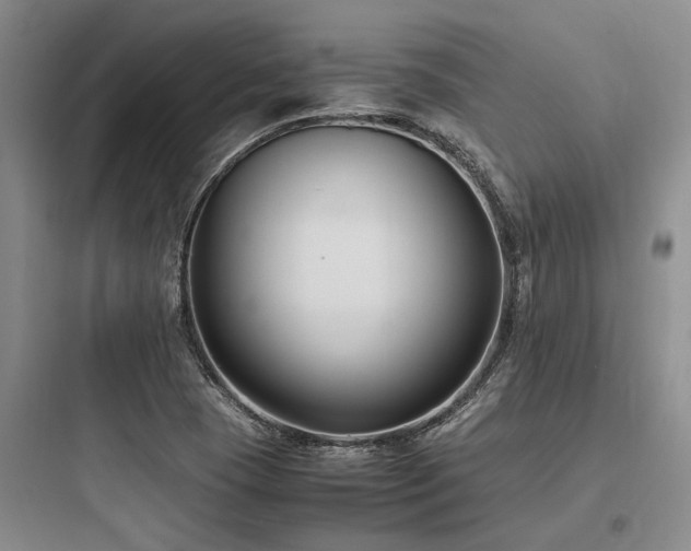 X0000097981409200803241248