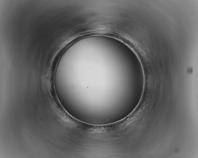X0000097981410200803241248
