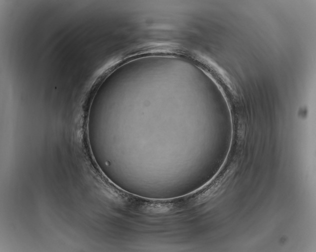 X0000097981411200803241248