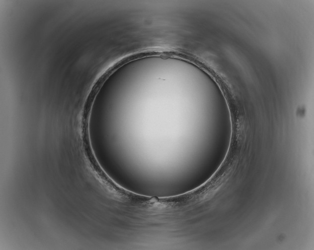 X0000097981412200803241248