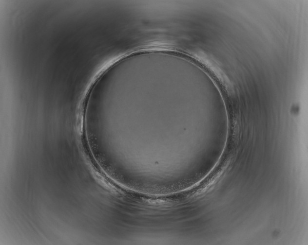 X0000097981413200803241248