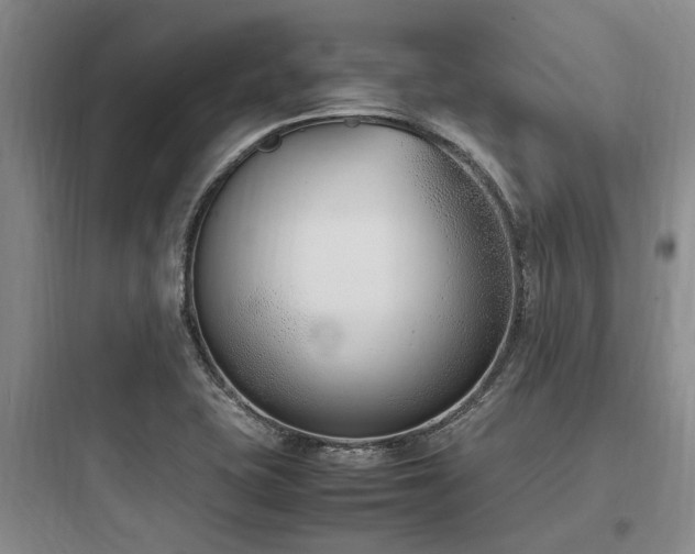 X0000097981415200803241248