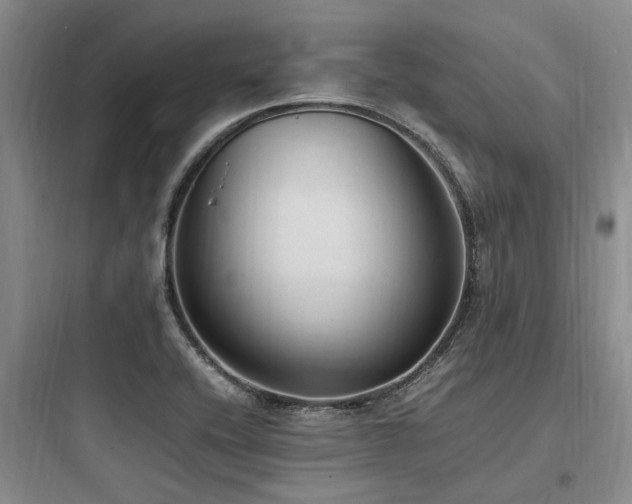 X0000097981416200803241248