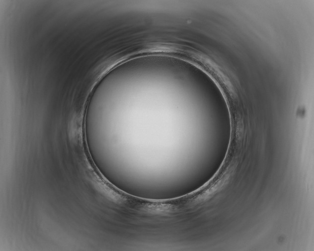 X0000097981417200803241248