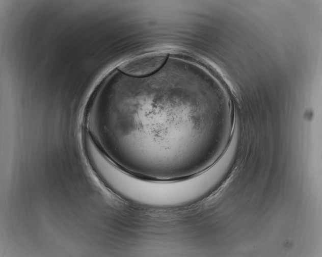 X0000097981418200803241248