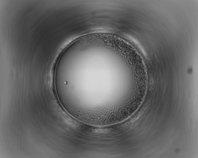 X0000097981419200803241248