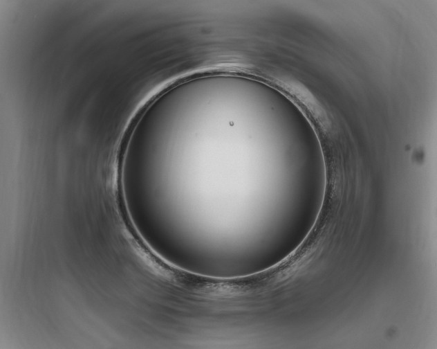 X0000097981420200803241248
