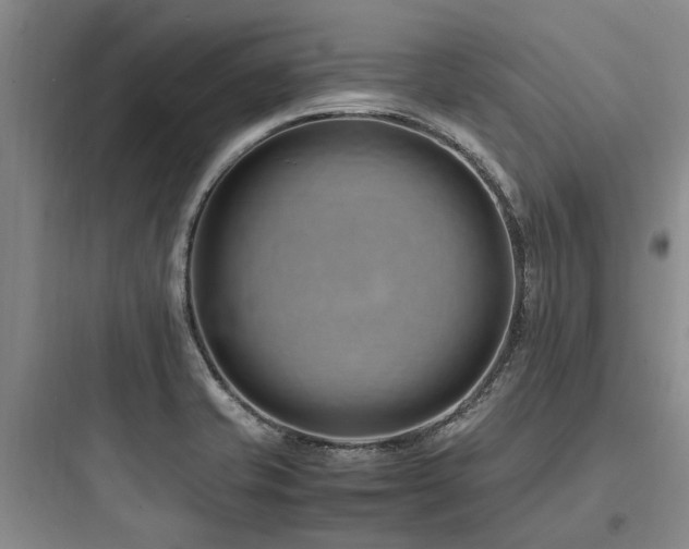 X0000097981421200803241248