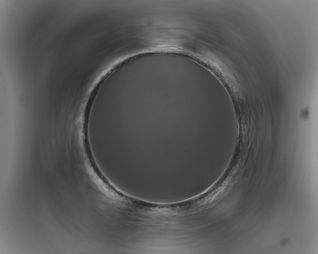 X0000097981422200803241248