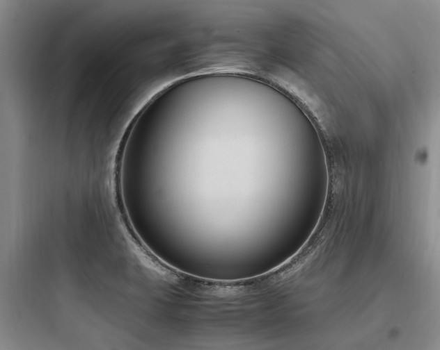 X0000097981423200803241248