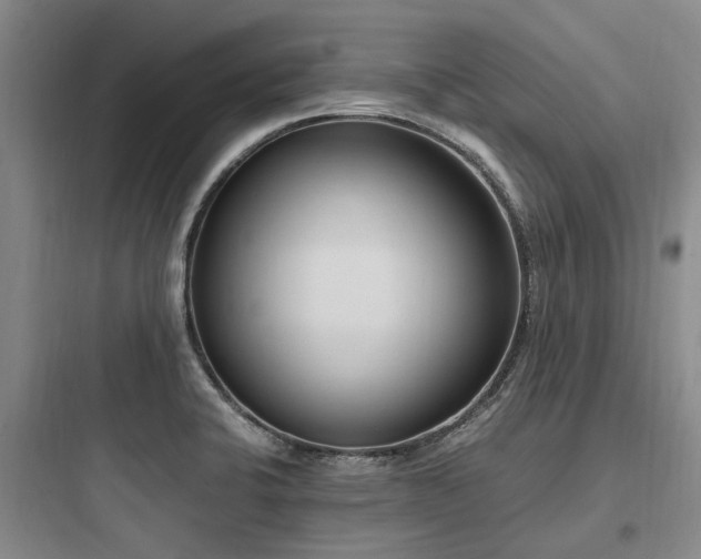 X0000097981424200803241248