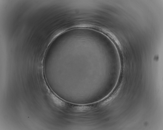 X0000097981425200803241248