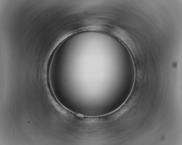 X0000097981426200803241248